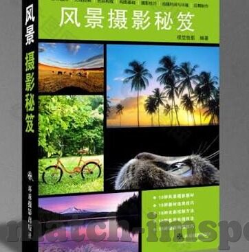 所以足球比分-所以足球比分，绿茵场上数字背后的激情与智慧